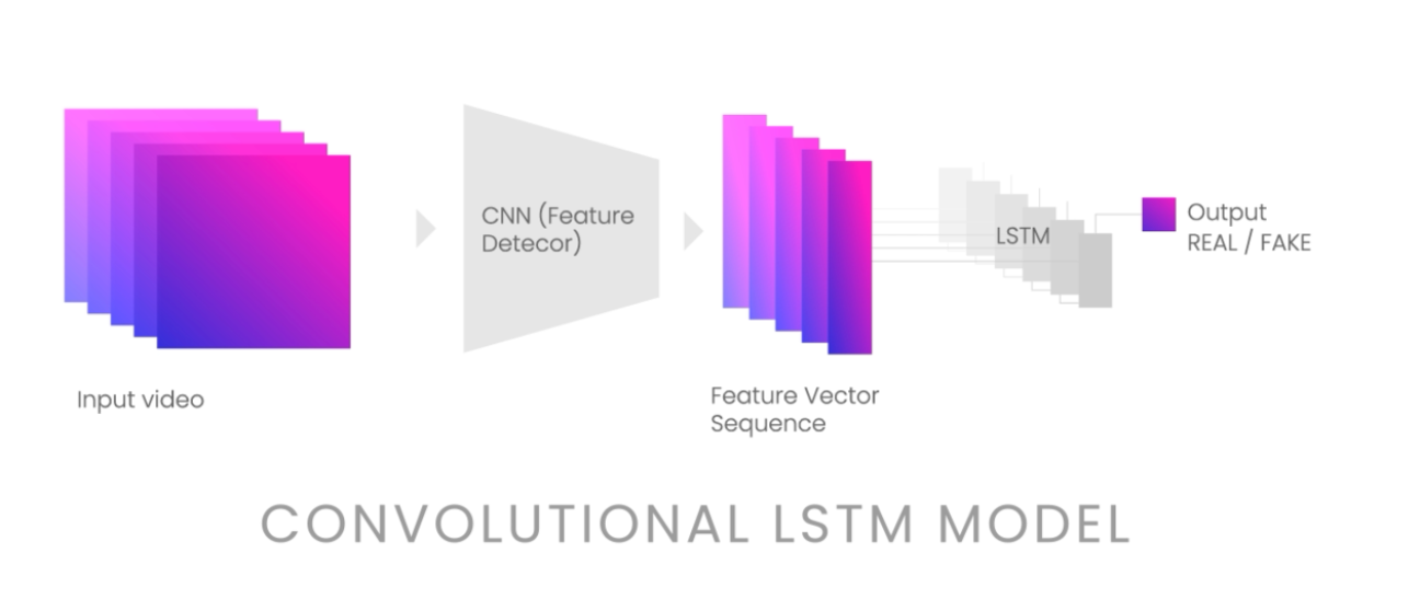 Deeptector model overview